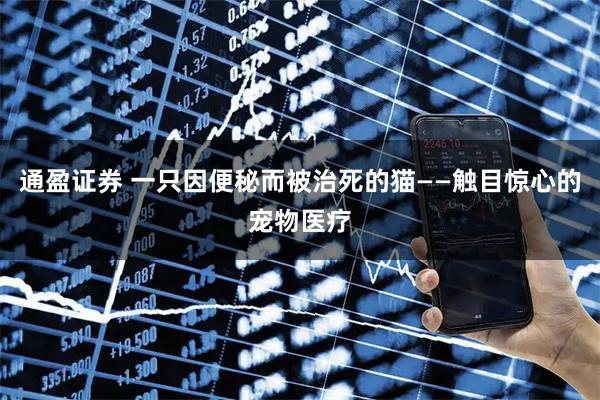 通盈证券 一只因便秘而被治死的猫——触目惊心的宠物医疗