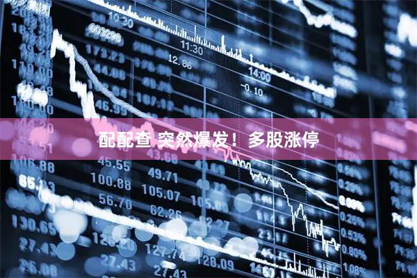 配配查 突然爆发！多股涨停