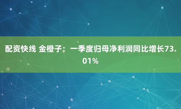 配资快线 金橙子：一季度归母净利润同比增长73.01%