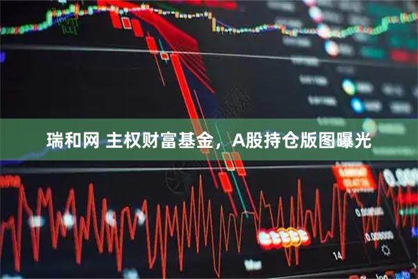 瑞和网 主权财富基金，A股持仓版图曝光