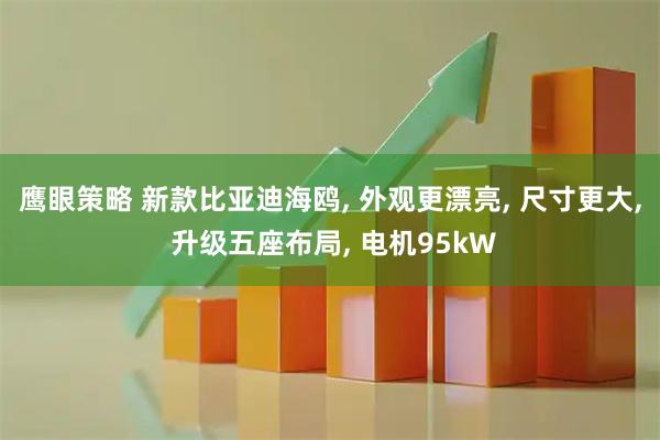 鹰眼策略 新款比亚迪海鸥, 外观更漂亮, 尺寸更大, 升级五座布局, 电机95kW